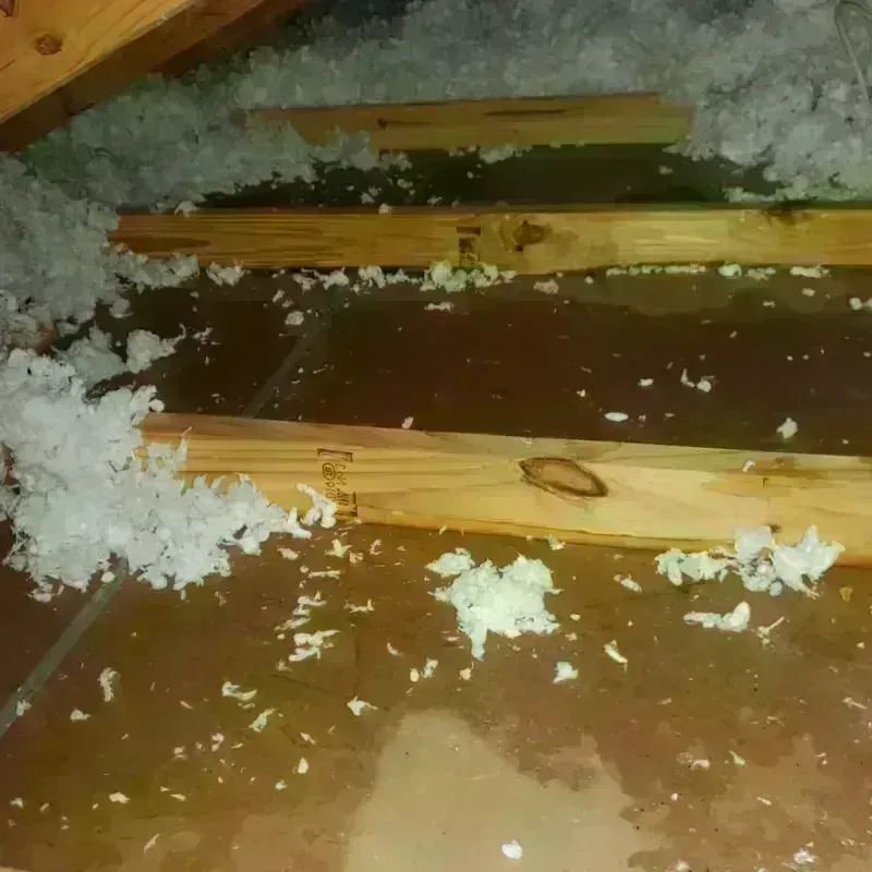 Attic Water Damage in New Wilmington, PA